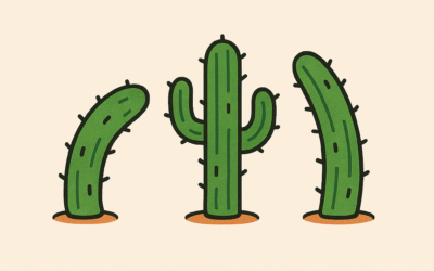The 3 Types of Erections (and What They Say About Your Health)